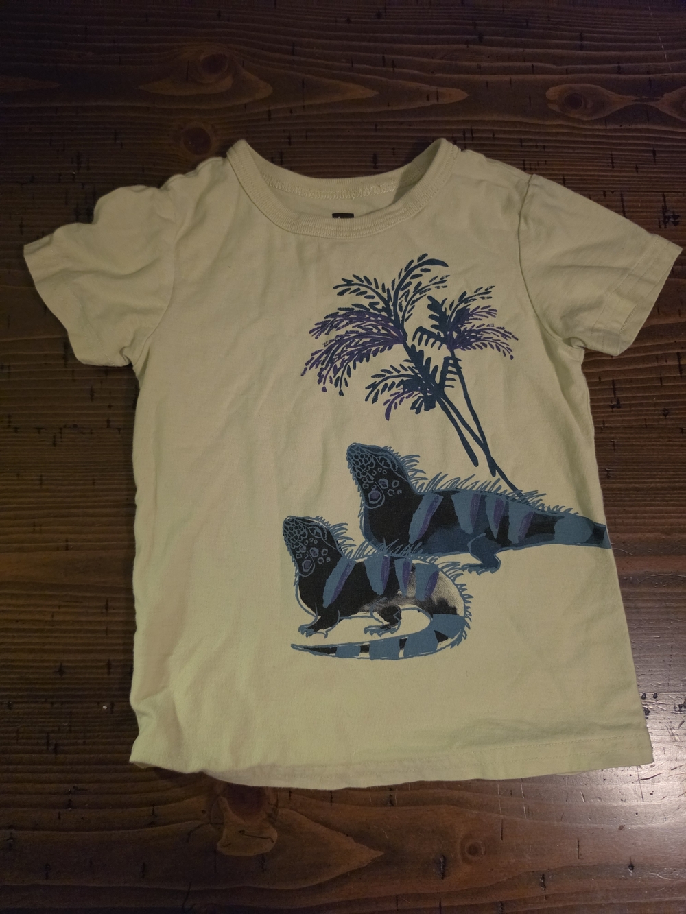 Tea Brand Kids Tropical Lizard Graphic Tee - Cream with Blue Print Size 3t